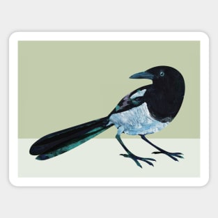 M is a magpie Magnet